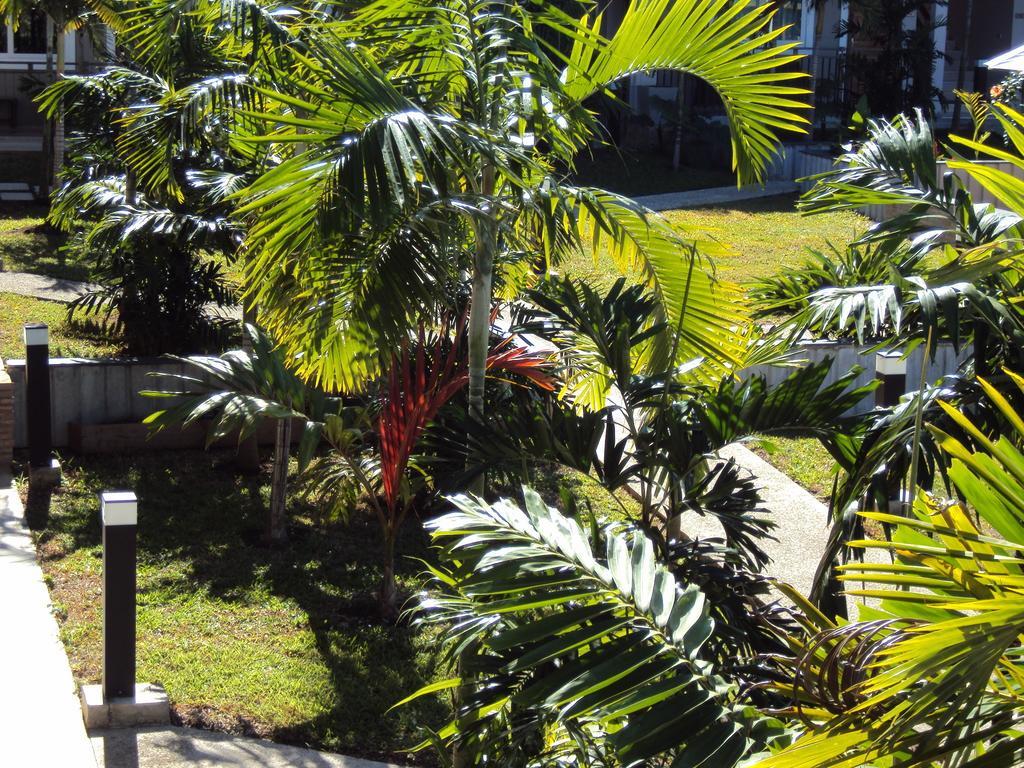 Hotel Colibri Koné Extérieur photo